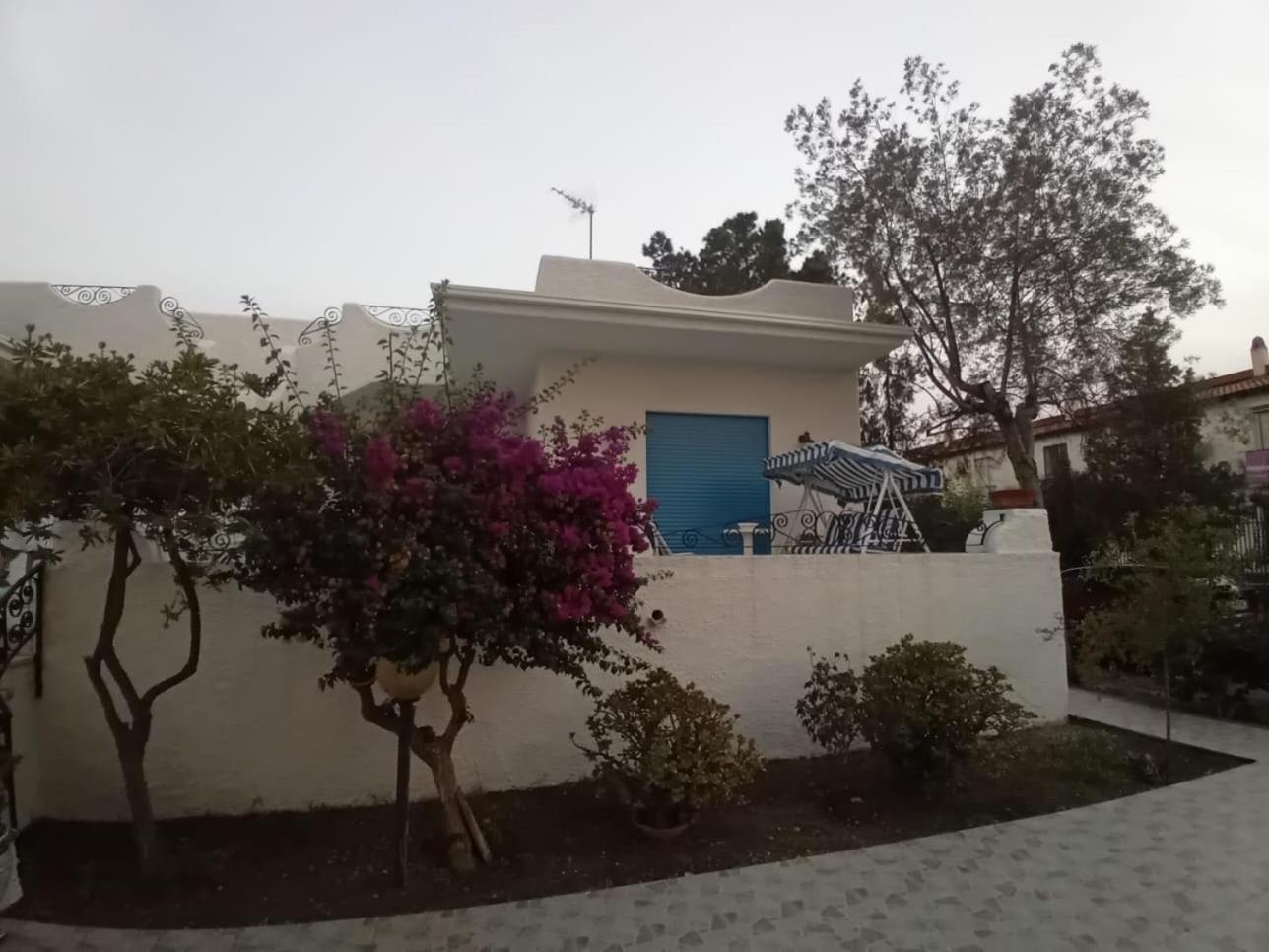 Villa Bouganville Oliveri Dış mekan fotoğraf